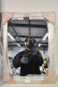 *400x550 Silver Framed Wall Mirror