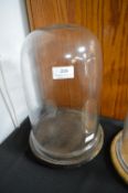 Medium Glass Dome on Wooden Base