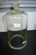 Medium Glass Dome