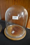 Medium Glass Dome on Wooden Base