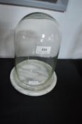 Small Glass Dome on Marbel Base