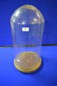 Large Glass Dome on Wooden Base