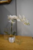 Artificial Orchid and Two Glass Vases