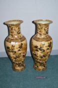 Pair of Large Pottery Chinese Vases