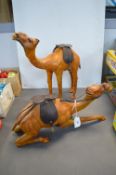 Two Leather Camels
