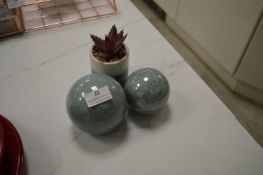 *Two Ceramic Bowls and a Succulent in Pot