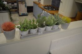 *Seven Artificial Succulents