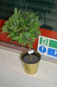 *Artificial Bay Tree in Pot