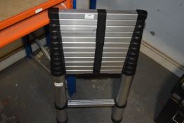 Step It Telescopic Ladder