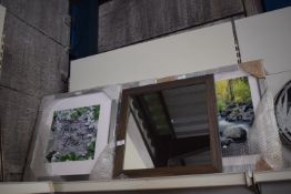 *Framed Pictures, Prints, and a Mirror