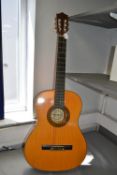 Palma Acoustic Guitar