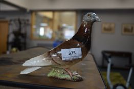 Beswick Pigeon