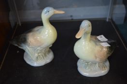Two Spanish Porcelain Ducks