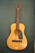 Unmarked Acoustic Guitar