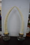 Pair of Resin Faux Scrimshaw Tusks