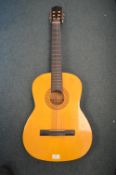 Chantry Acoustic Guitar