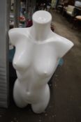 *Female Mannequin Torso