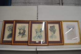 Framed Ladies of Fashion Pictures