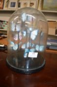 Artificial Butterflies Under Glass Dome