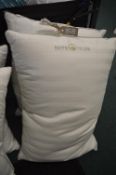 *Hotel Grand Feather Pillows 2pk
