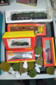 Hornby OO Gauge Locos and Landscaping