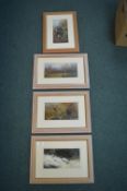 Four Framed Ashley Huntley Wildlife Prints