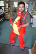 Dragon Fancy Dress Outfit