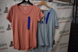 *Hilary Radley Blue Blouse Size: L, and a Kirkland Apricot T-Shirt Size: L