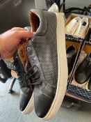 *Penguin Paxton Trainer Size: 12 (preworn)