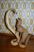 Taxidermy Study of a Mongoose and a Python