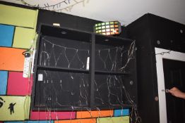 *Lighting Effects Unit and Assorted Fairy Lights