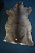 Deer Skin