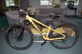 Specialized Mountain Bike