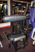 Matrix Back Extension Machine with Weights 10lbs to 195lbs