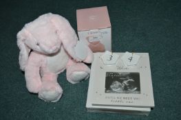 *Pink Rabbit, Teddy Money Bank, and a Countdown Calendar