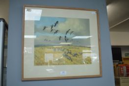Framed Peter Scott Wildlife Print