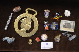 Small Collectibles Including Enamel Badges, Golly Brooches, etc.