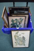 Framed Pictures and Prints Including Birds, Natural History, etc.