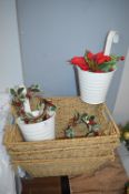 *Used Wicker Baskets, Plant Pots, and Christmas Accessories