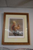 Framed & Signed Squirrel Nutkin Print by Robert E. Fuller