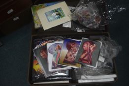 Vintage Case Containing Hologram Pictures and Fridge Magnets