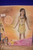 Disney Princess Pocahontas Dress Size: 3-4 years