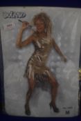 Tina Turner Costume Size: M