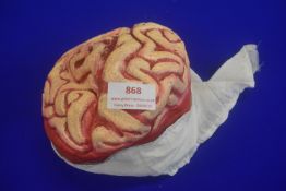 Brain & Bandages Hat