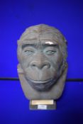 German Pottery Figure of Pithecanthropus Erectus Java by Dr. F. Krantz of Bonn
