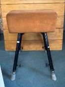 Vintage Gymnastics Vaulting Stool on Adjustable Tubular Legs