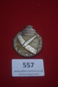 A 1933 NSFK (National Socialist Flyers Corps) Flugtag Mannheim badge, issued for the air event