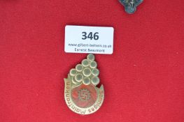 Coloured Pressed Metal Badge – A stylised pressed metal badge with raised bunch of grapes motif