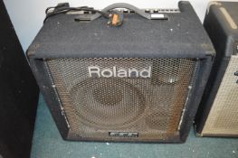 Roland FFP DB-500 D-Bass Amplifier