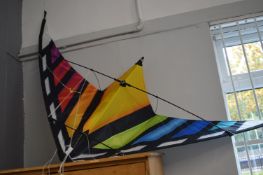 *X-Kite Delta Wing Kite